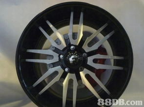 2019年最新114個Barbie Eye批發價格及商戶聯絡資訊——HK 88db.com汽車零配件平臺詳解